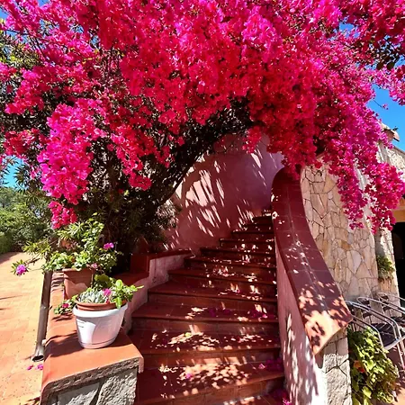 Hotel Hotel Fertilia 3*