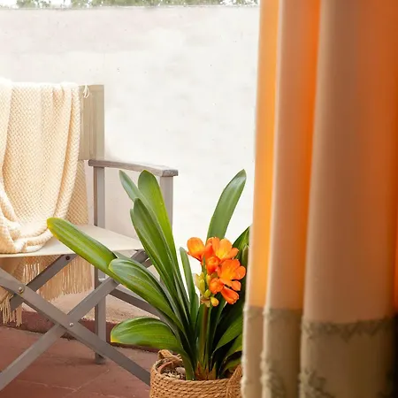 Hotel Hotel Fertilia 3*