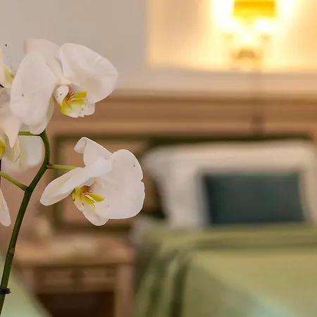Hotel Fertilia 3*