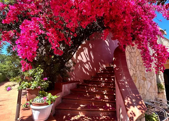 Отель Hotel Fertilia 3*